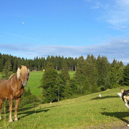 Hoehengasthaus Kolmenhof An Der Donauquelle Hotel Furtwangen Buitenkant foto