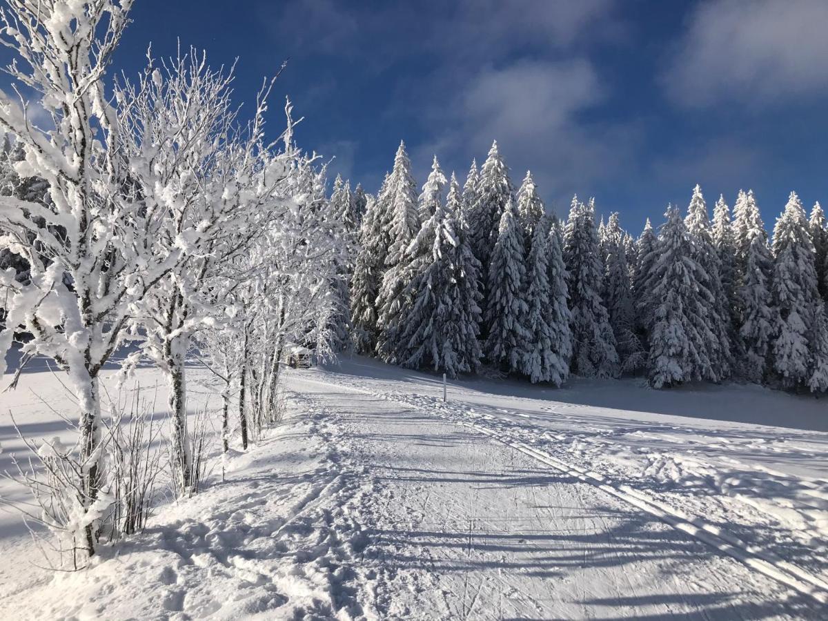 Hoehengasthaus Kolmenhof An Der Donauquelle Hotel Furtwangen Buitenkant foto