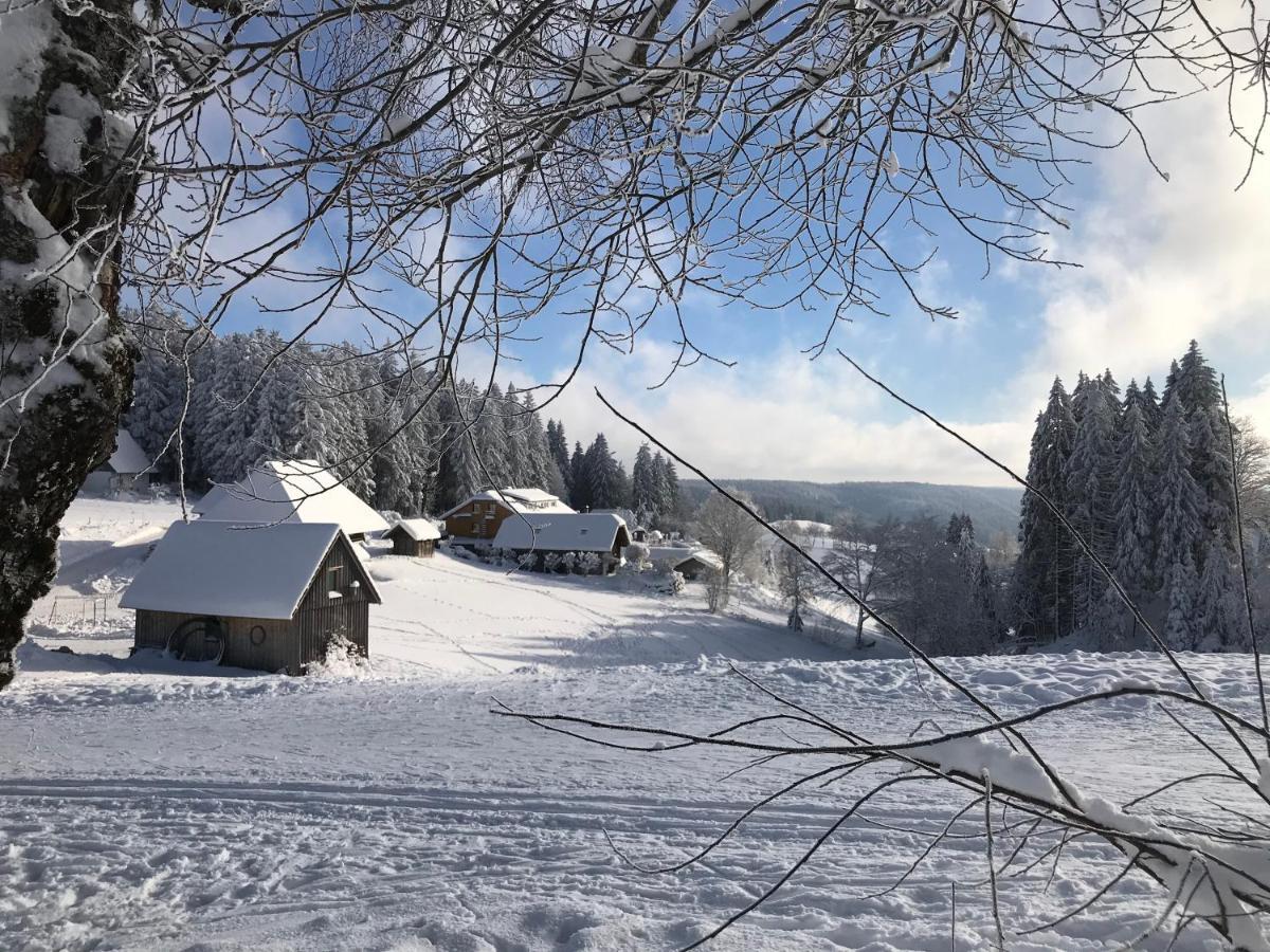 Hoehengasthaus Kolmenhof An Der Donauquelle Hotel Furtwangen Buitenkant foto