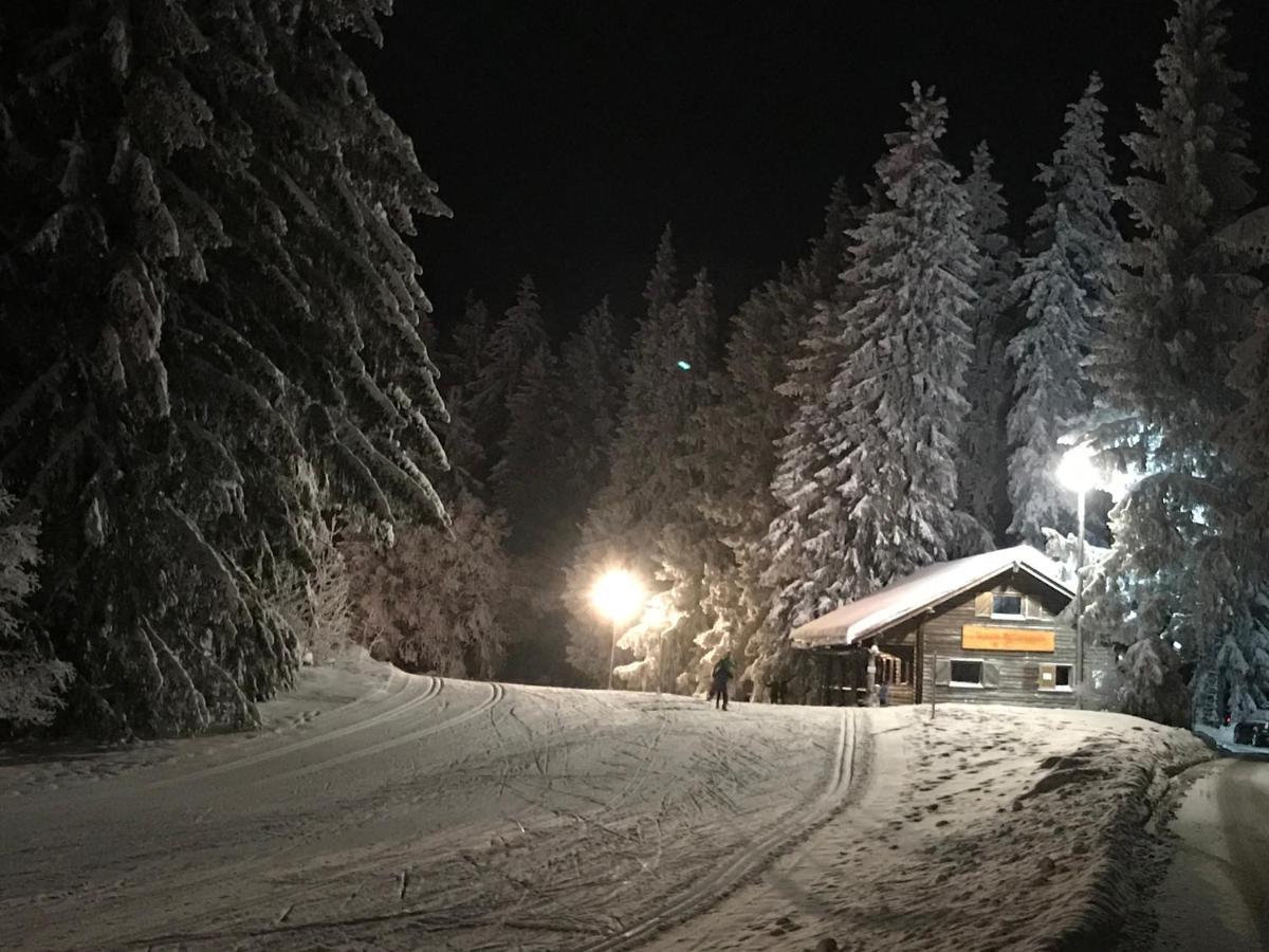 Hoehengasthaus Kolmenhof An Der Donauquelle Hotel Furtwangen Buitenkant foto