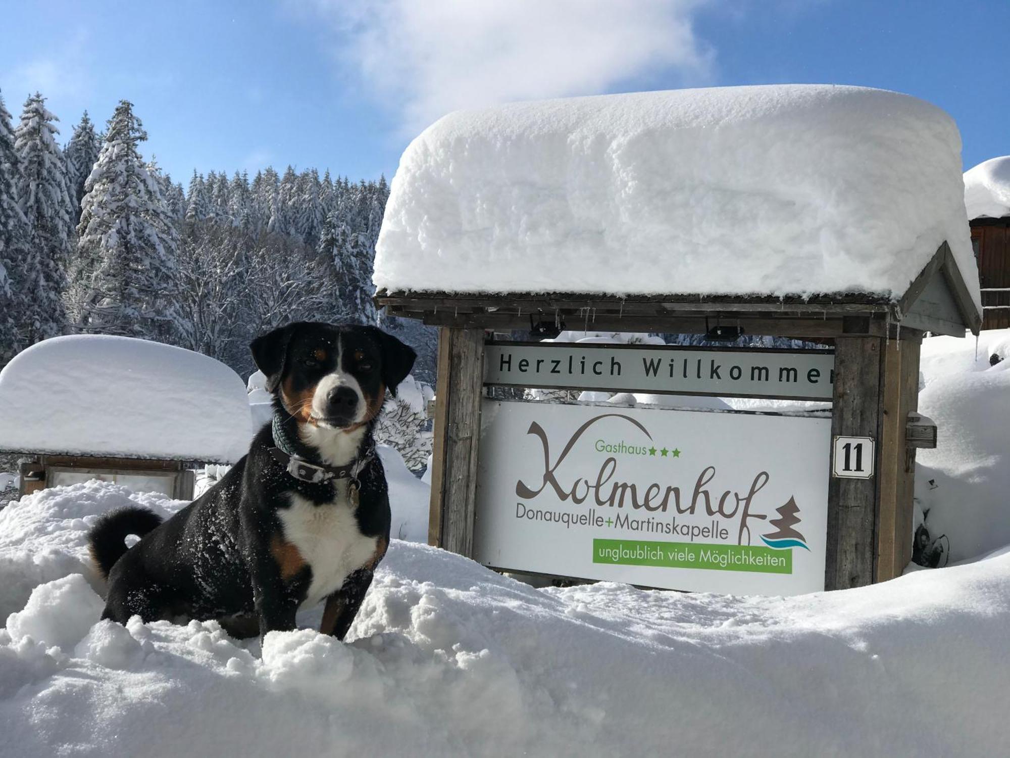 Hoehengasthaus Kolmenhof An Der Donauquelle Hotel Furtwangen Buitenkant foto