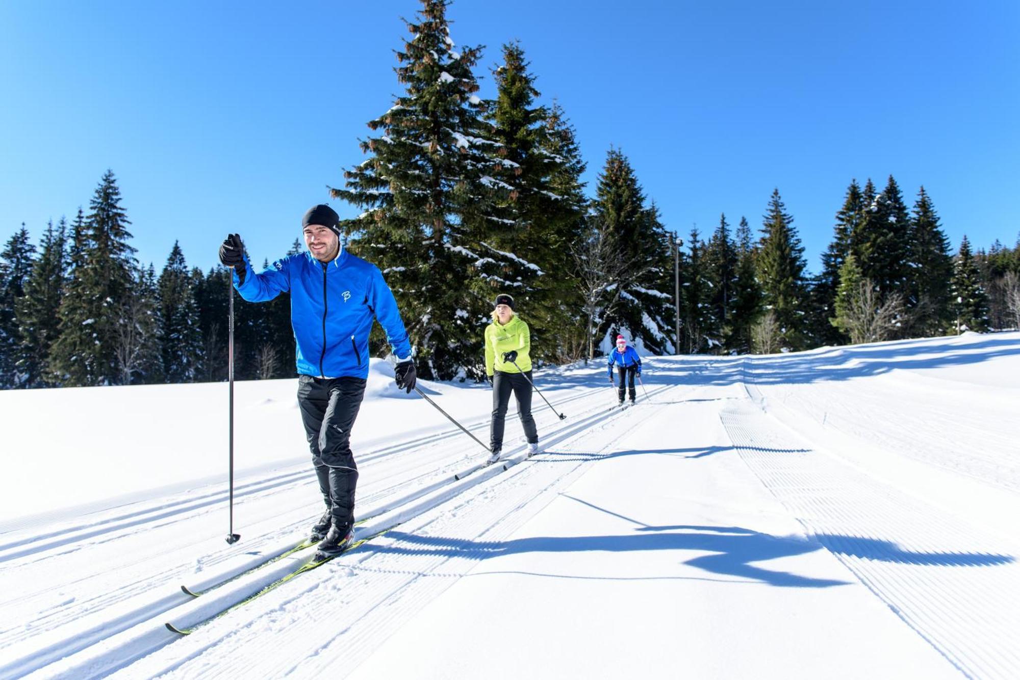 Hoehengasthaus Kolmenhof An Der Donauquelle Hotel Furtwangen Buitenkant foto