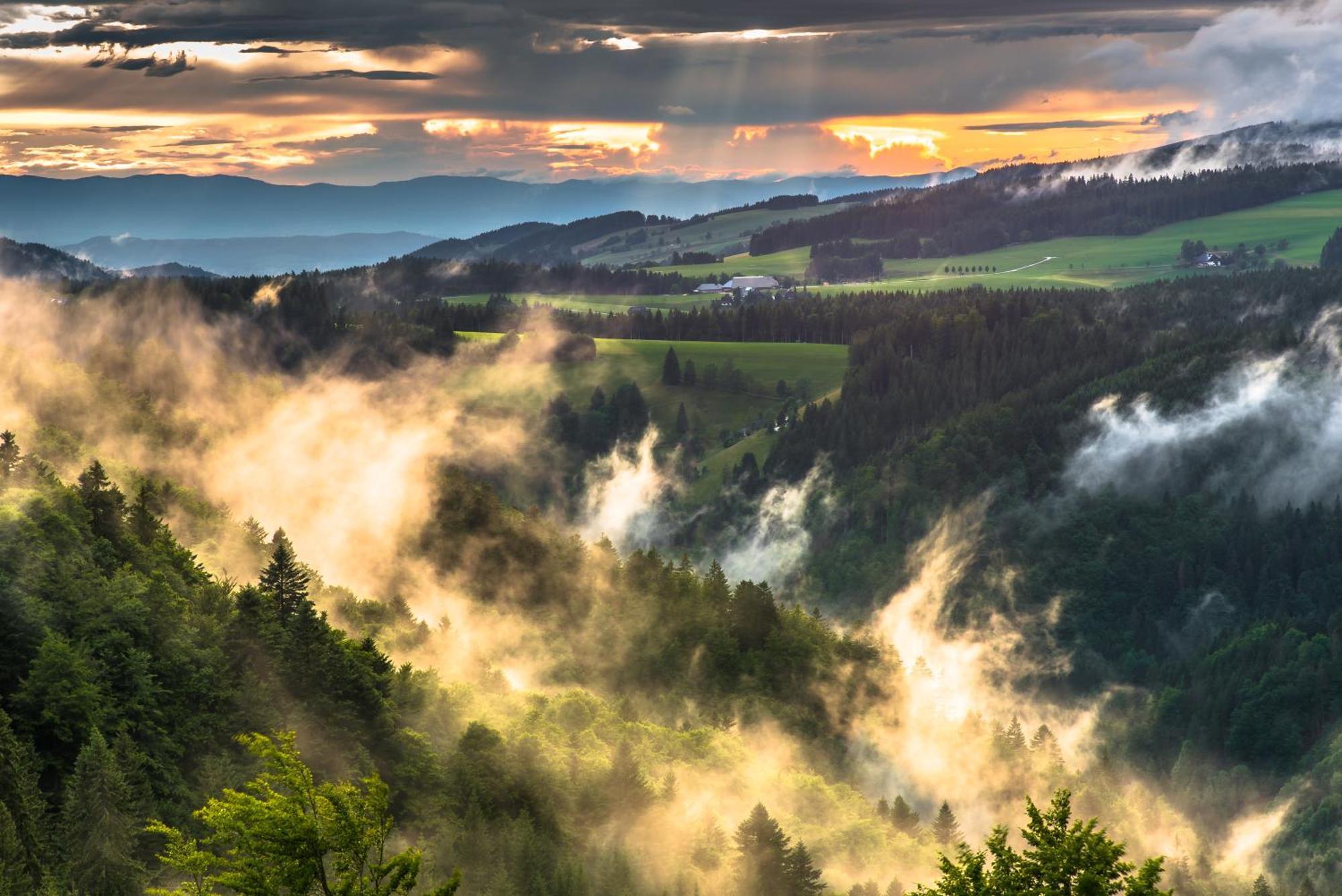 Hoehengasthaus Kolmenhof An Der Donauquelle Hotel Furtwangen Buitenkant foto