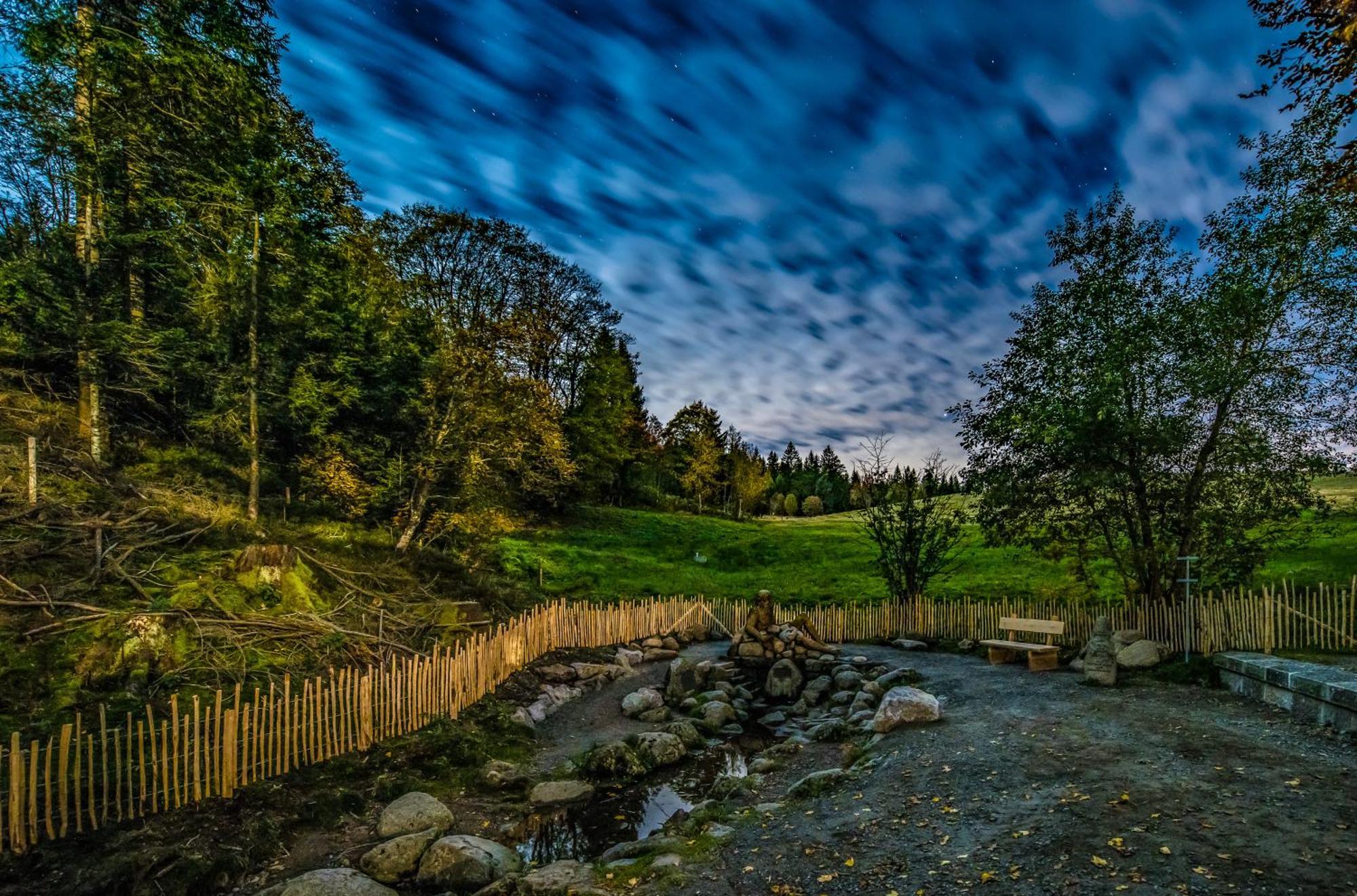 Hoehengasthaus Kolmenhof An Der Donauquelle Hotel Furtwangen Buitenkant foto