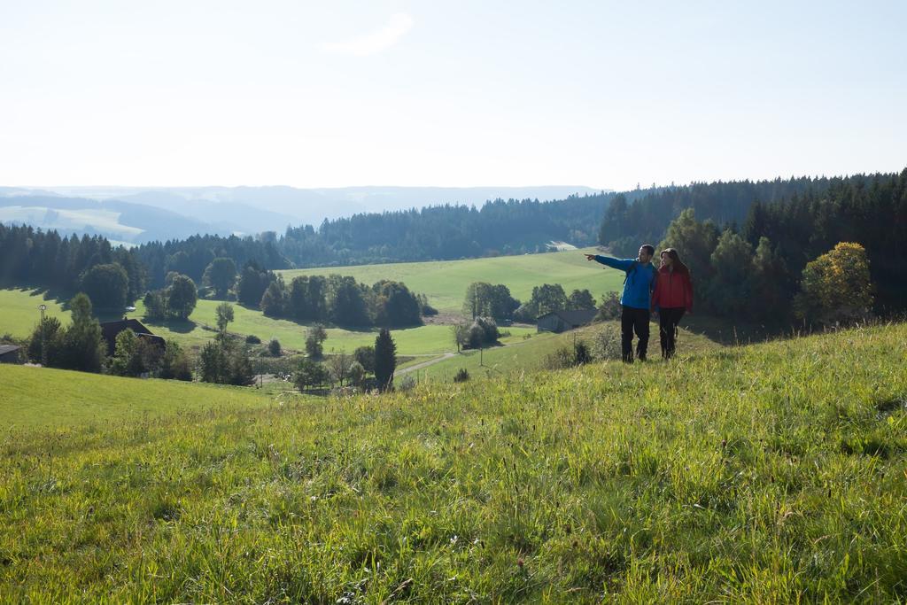 Hoehengasthaus Kolmenhof An Der Donauquelle Hotel Furtwangen Buitenkant foto