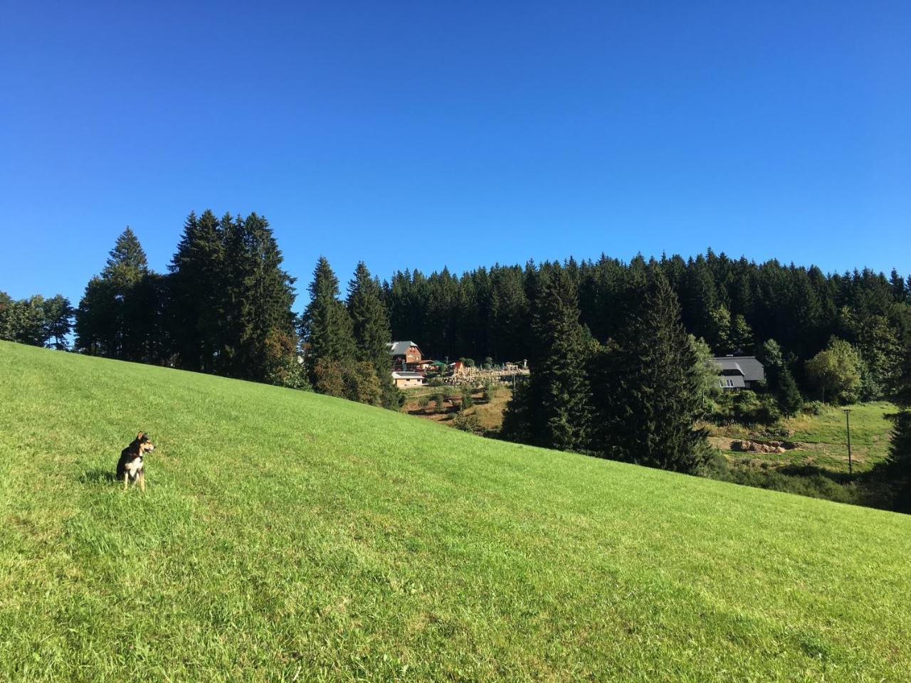 Hoehengasthaus Kolmenhof An Der Donauquelle Hotel Furtwangen Buitenkant foto